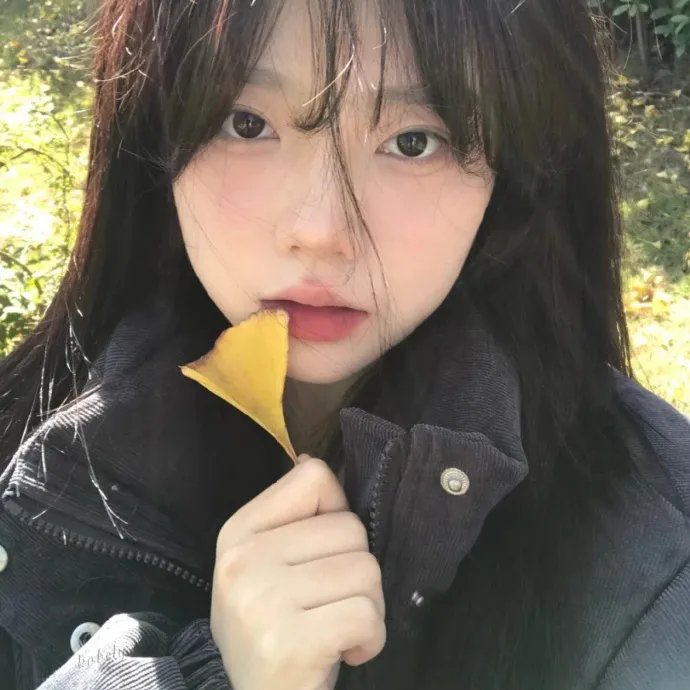 与君重逢时