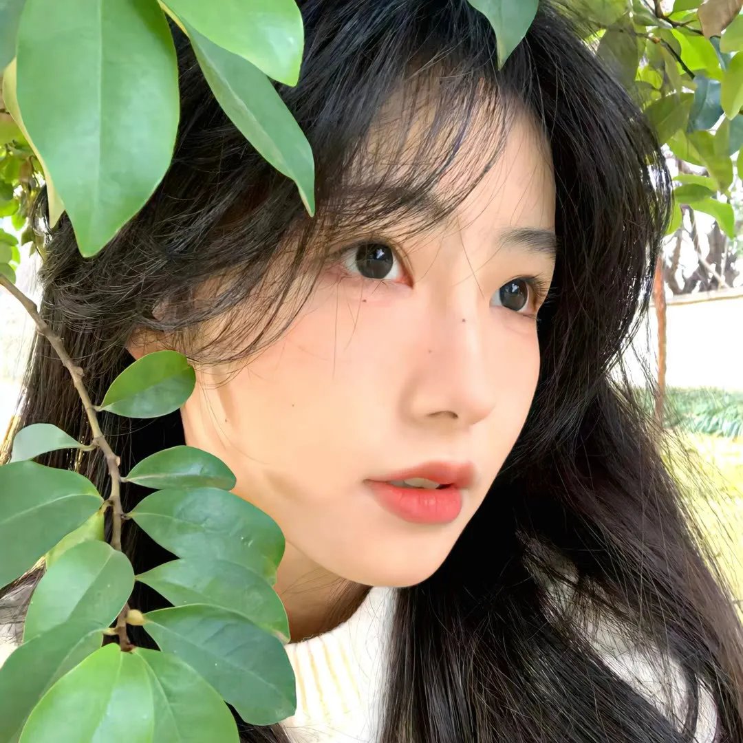 卧虎藏龙